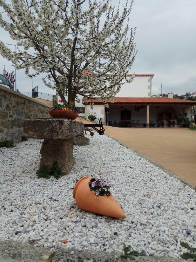 パレーデス・デ・コウラ Casa Freitasヴィラ エクステリア 写真